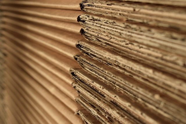 Packaging Trends 2024: Innovations and Predictions