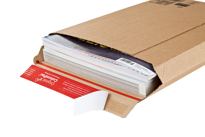 Cardboard envelope 22.5x16.5x-2"