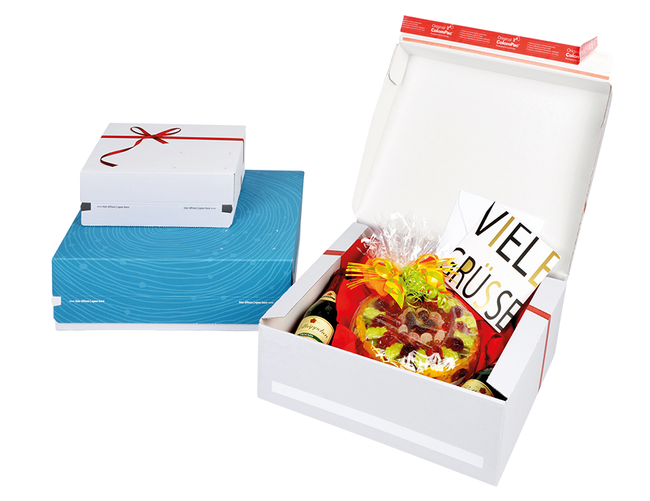 Gift Shipping Box 9.5x6.5x3.75" (40pcs)