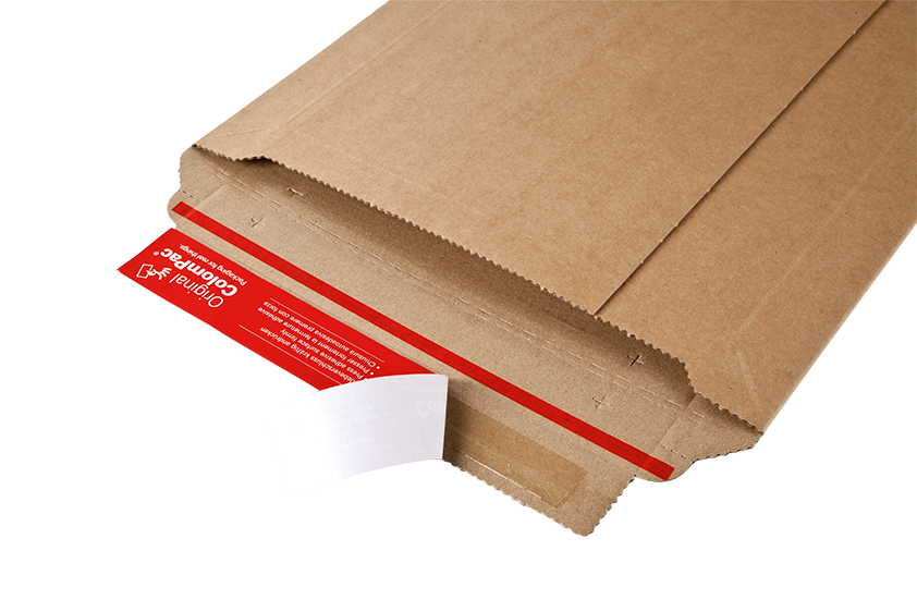 Cardboard envelope 11.5×15.75×2"