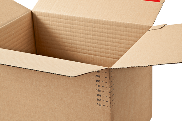Box Caston Multi-Depth Carton Box