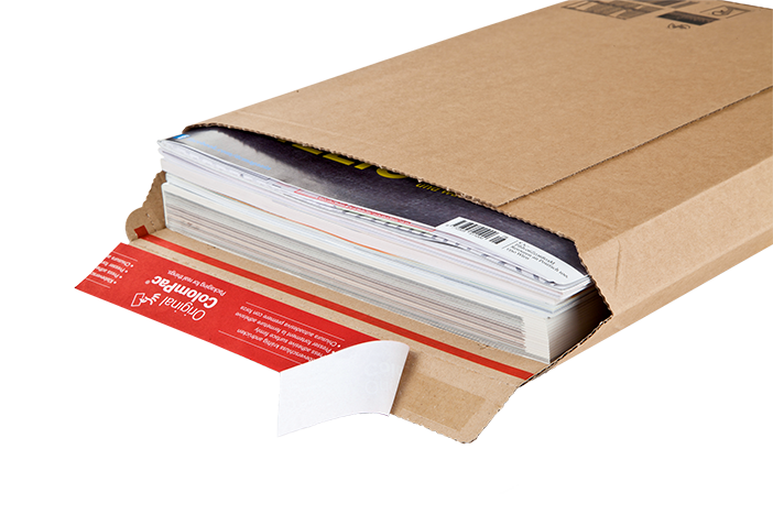 Cardboard envelope 6x9.75x-2" (100pcs)