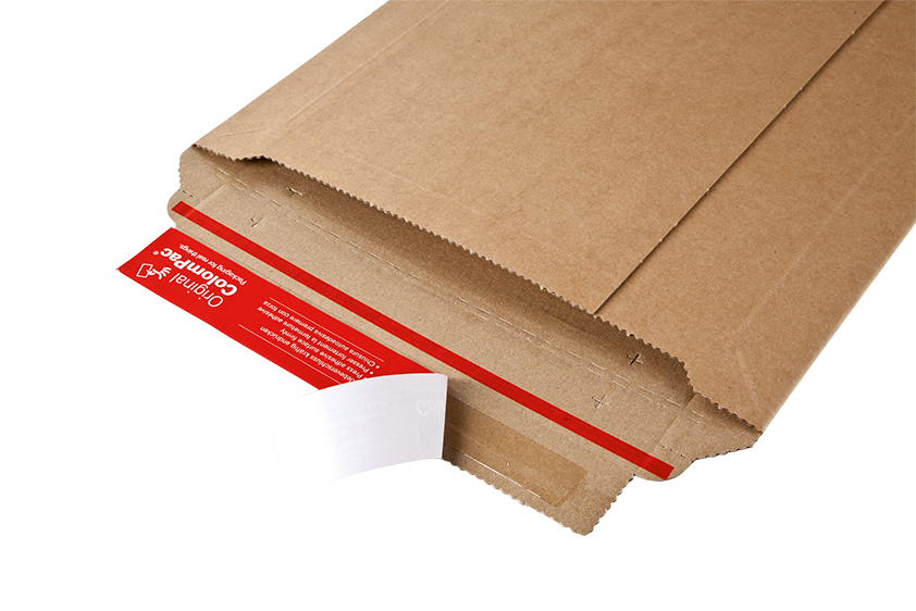 Cardboard envelope 6x9.75x-2"