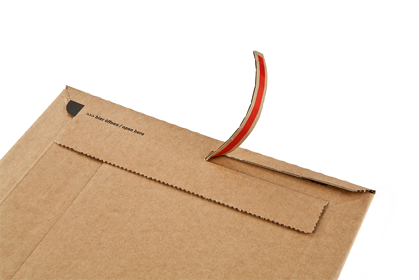 Cardboard envelope 9.25x13.5x-1.5"